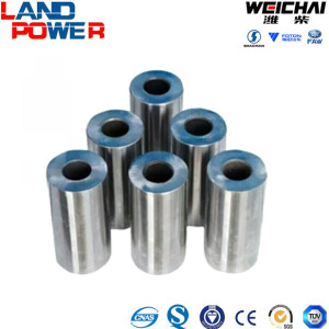 Weichai Engine Spare Parts Piston Pin 61560030013